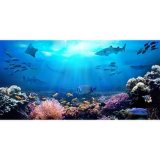 AOFOTO 6.1X3M(20X10피트) 수중 세계 배경 사진 바위 포토부스 해저 물고기 파티 배경 배너 열대 산호와 바다 장식 대형 풍경 수족관 소품 조명, 10x5ft