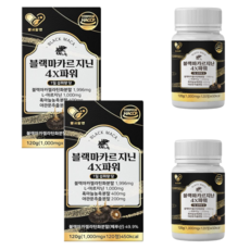 헬시알엔 블랙마카르지닌 4X파워, 2박스, 120정