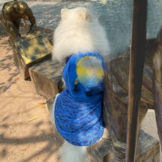 대형견 강아지 배낭 백팩 산책 가방 애견 패션, 1개, 블루