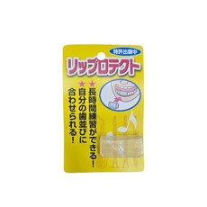 K-MP 색소폰 클라리넷 입술 보호 립가드 립프로텍터, 1개