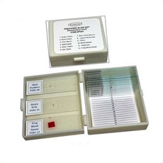 어린이표본 학습교구 과학표본 프레파라트 초급 어린이 관찰슬라이드 과학학습 초등교구