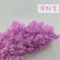 花藝夢* 進口 永生蓬萊松 "整把販售" 壽松 蓬萊松 乾燥花 永生花 不凋花 乾燥花材, 深粉紫