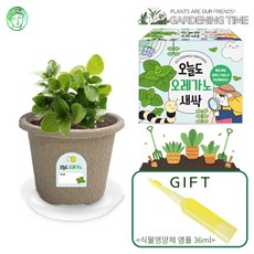 [식물영양제증정]오늘도 새싹 - 지피포트 오레가노 키우기 / 모종키우기 원예체험 재배 식물키우기, 1개