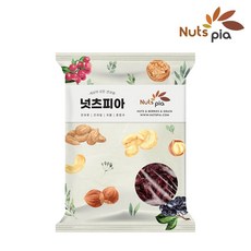 넛츠피아 건크랜베리, 1개, 500g