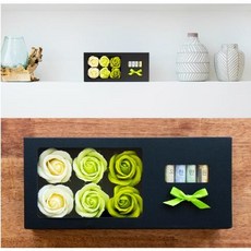 春天雨林香皂花5000萬韓元錢盒套裝, 綠色