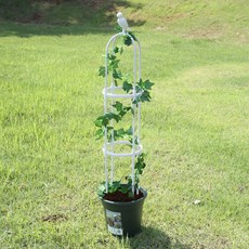 오벨리스크 버드장식 장미아치 조립형 식물지지대 넝쿨지지대 NO812 2단 120cm 화이트(원지름 29cm), 1개