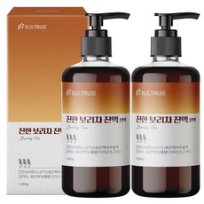 빌트루 진한 보리차 진액 원액 식약처인증 액기스 HACCP 국산 액상, 1000g, 2개