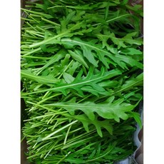 야채왕 와일드 루꼴라(베이비루꼴라) 중량별, 1개, 100g