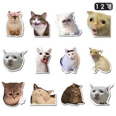 루베이 고양이 밈 냉장고 마그넷 세트 3D 생동감 있는 디자인 재미있는 감정표현 냉장고/장식/일상, 동물 12개