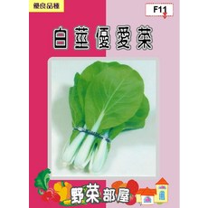 【 野菜部屋~】F11 白莖優愛菜種子, 1包