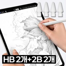 프렌티 아이패드 펜슬 촉 애플펜슬 펜촉 1/2세대 호환 2B HB, 1세트