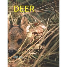 (영문도서) Deer Paperback, Independently Published, English, 9798453404148