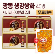 광동제약 생강쌍화 120ml 40병 + 비타500젤리 2개