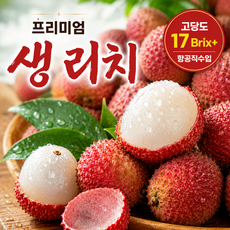 프리미엄 고당도 생 리치 항공직수입 특품, 1박스, 1kg