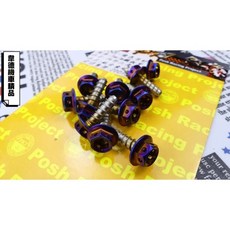韋德機車精品 POSH 正鈦 鈦合金 鐵板牙螺絲 燒鈦螺絲 (單顆價格), 1個, 原色,5*17