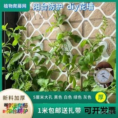 大孔加厚植物爬藤網 陽臺花園網格 家用戶外綠植攀爬網 陽臺露臺防護安全網 耐用籃球網, 1個, 黑色5釐米大孔【加厚新料】,0.5米寬--1米長 要幾米拍幾件連著發