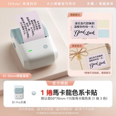 精臣 B1Pro 標籤機 花店花卉適用 防水耐磨 藍牙無線列印 高解析商用級花藝條碼盆栽養護標籤, 1個, B1Pro天青+1捲馬卡龍色系卡貼, B1Pro天青+1捲馬卡龍色系卡貼