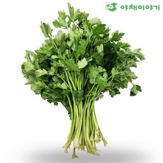 야채이야기 싱싱한 이태리 이탈리안 파슬리 100g 향나물, 1개