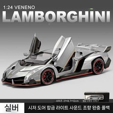 포이즌 합금 RC 드리프트 레이싱 스포츠카 장난감, 일반판 1/24 람보 포이즌 그레이
