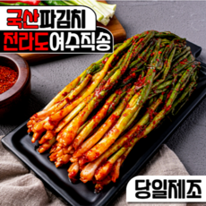 국내산 전라도 여수 파김치, 1개, 1kg
