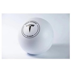 Tesla Owners Taiwan 充氣沙灘球, 1個