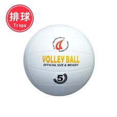 成功SUCCESS/特波士排球 日式排球, 1個, 4035 5號彩色排球, 4035