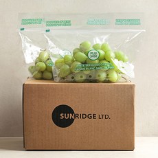 썬리지 산지직송 직수입 아삭 달콤 씨없는 청포도, 1박스, 청포도 900g