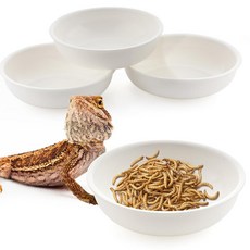 4팩 파충류 먹이 대야 음식 및 물 그릇 벌레 접시 도마뱀 뿔 개구리 거북이 소형 파충류용화이트 138799, 4팩 파충류 먹이 대야 음식 및 물 그릇 벌레 접시 도