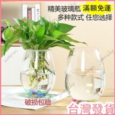 台灣發貨 統編 限時下殺 水培銅錢草專用 水培花盆 水培植物玻璃瓶 綠蘿花瓶 花盆玻璃 圓球水養魚缸 器皿 容器送定, 20圓球（送定植藍）,1個玻璃瓶, 1個