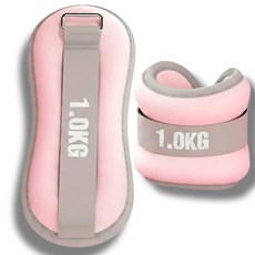 와일드윙 균형훈련 손목 발목 모래주머니, 핑크, 2kg