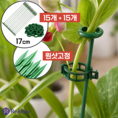 레아하브 줄기가드 식물지지대세트, 그린, 30개