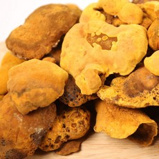 건강초이스 국내산 상황버섯 원물, 1박스, 250g