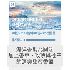 Ascent 質感香氛擴香瓶, 1個