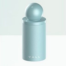 VALL 얼굴용 기름지우개 단품, 1개