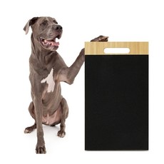 강아지 사포 미용도구 도마 관리 발톱갈이 고양이발톱깎이