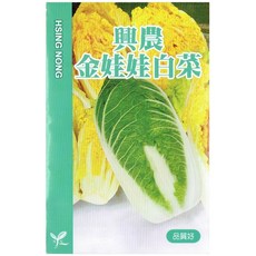 興農 金娃娃白菜種子，家庭園藝種植，高發芽率，口感清甜爽脆, 1個