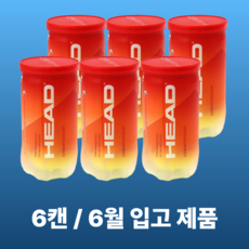 헤드 테니스공 챔피온쉽 캔볼 시합구, 옐로우, 6개