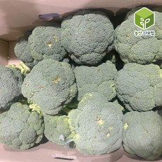 브로콜리(특), 4kg, 1개