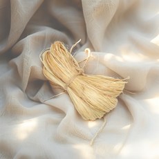 한산모시 모시풀 태모시, 50g, 1개