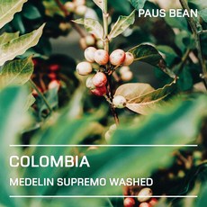 파우스빈 콜롬비아 메델린 수프리모 워시드 생두, 500g, 1개