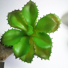 仿真多肉植物 枯木擺飾, P80仿真多肉+木頭底座(隨機), 1套