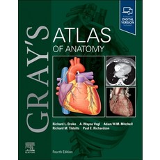 (영문도서)Gray's Atlas of Anatomy Paperback, English, 9780443284663, Elsevier English, 9780443284663, Elsevier