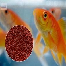 글라라네집 금붕어사료 100g 물고기밥