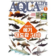 2025년 아쿠아라이프 1월호 [2025 메기 대도감 500], 단품, 단품