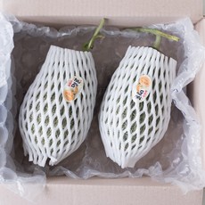[제니네 제철과일] FM 산지발송 그린 하미과멜론 TQ8, 1kg내외 / 1수