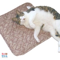 [국내생산+타이머 온도조절 가능] 뚱냥연구소 고양이 전기방석, 뚱캐릭터, 뚱퍼플