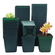 RooTrimmer 120팩 투명 습도 돔 묘목용 6.9cm(2.7인치) 정사각형 아기방 화분과 호환되는 투명 묘목 돔, 그린-60p