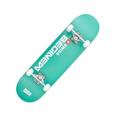 스위스비기뉴 TW-200 스케이트보드 크루져보드 스텐다드 80센치 전용가방 티툴구성품, TW 200 민트, 1개