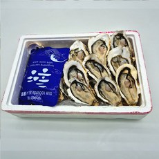 하프셀 (26미 내외), 1kg, 2개