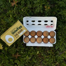 슬로우에그 난각번호 2번 구운란 10구, 1개